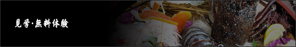 ���h���v����